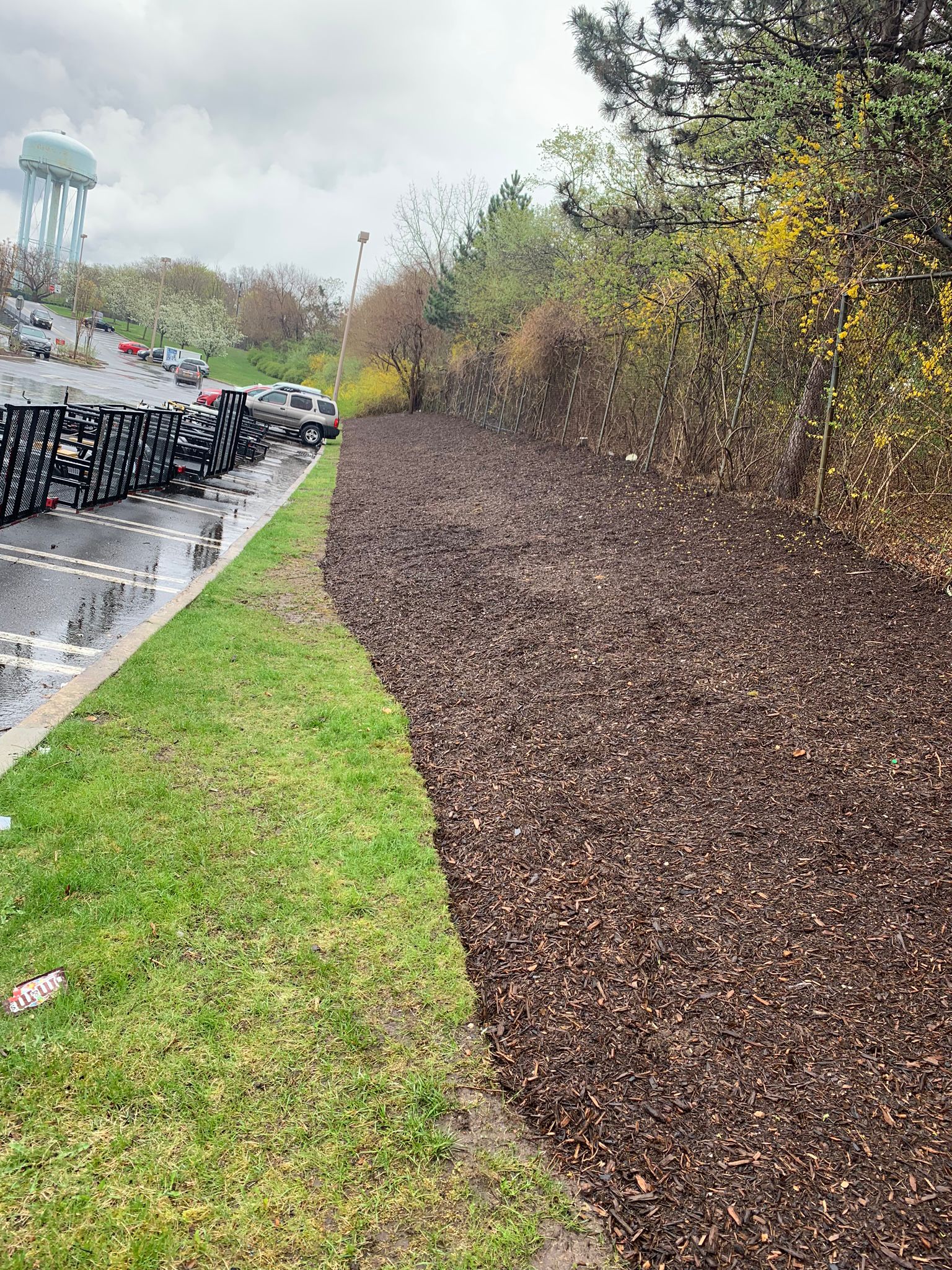 Big Brothers Tree Service Image